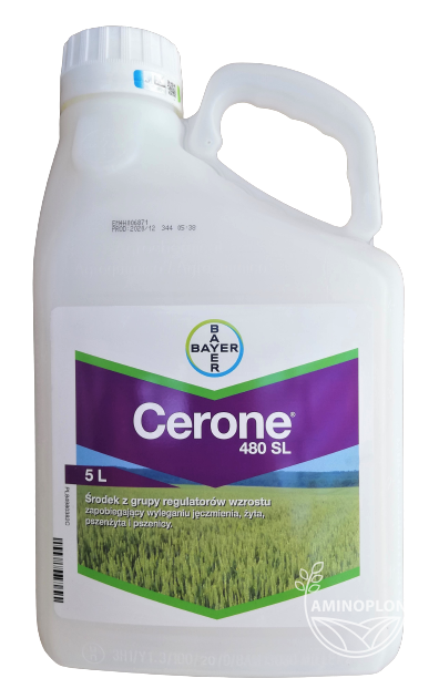 BAYER Cerone (480 SL) – skrócenie i usztywnienie źdźbeł zbóż, zapobiega wylęganiu łanu