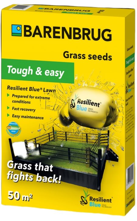 BARENBRUG Trawa Tough & Easy – nasiona traw odporne na niekorzystne warunki i przystosowane do pielęgnacji mechanicznej